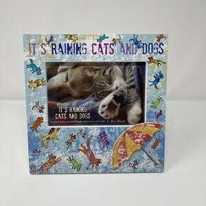 It's Raining Cats And Dogs Photo Frame 4x6 Tabletop Picture Frame 3D Pet Photo